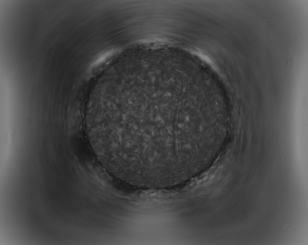 X0000086920967200704161359