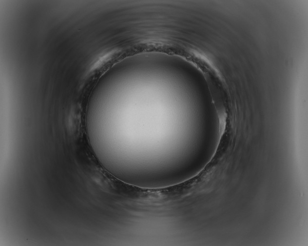 X0000086920968200704161359