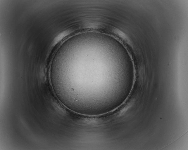 X0000086920970200704161359