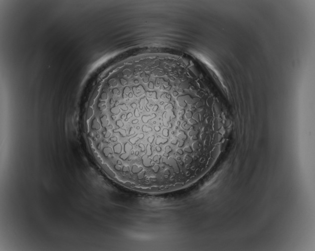 X0000086920971200704161359