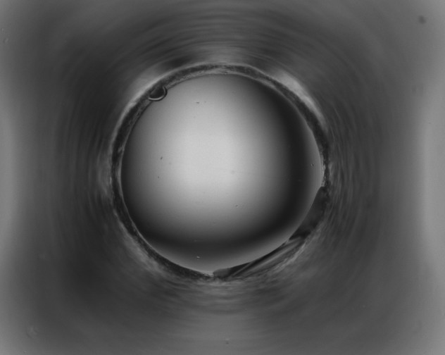 X0000086920972200704161359