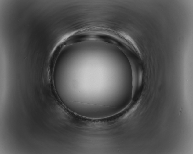 X0000086920973200704161359
