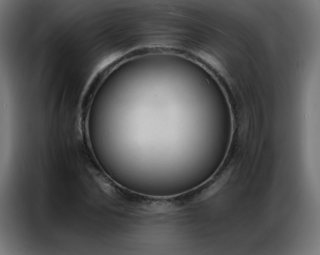 X0000086920974200704161359