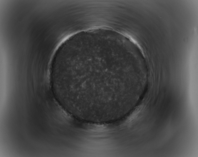 X0000086920975200704161359