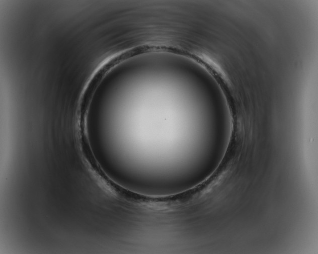 X0000086920976200704161359