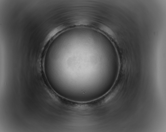 X0000086920978200704161359