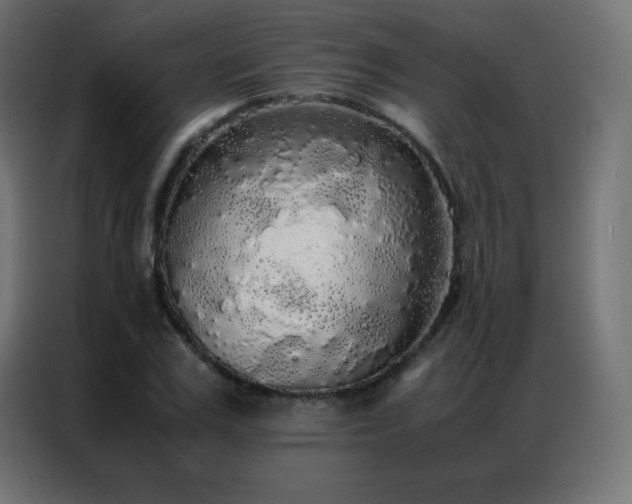 X0000086920979200704161359