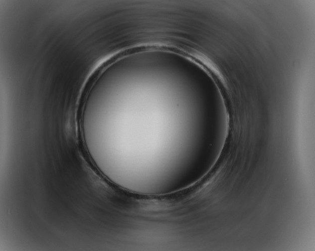 X0000086920980200704161359