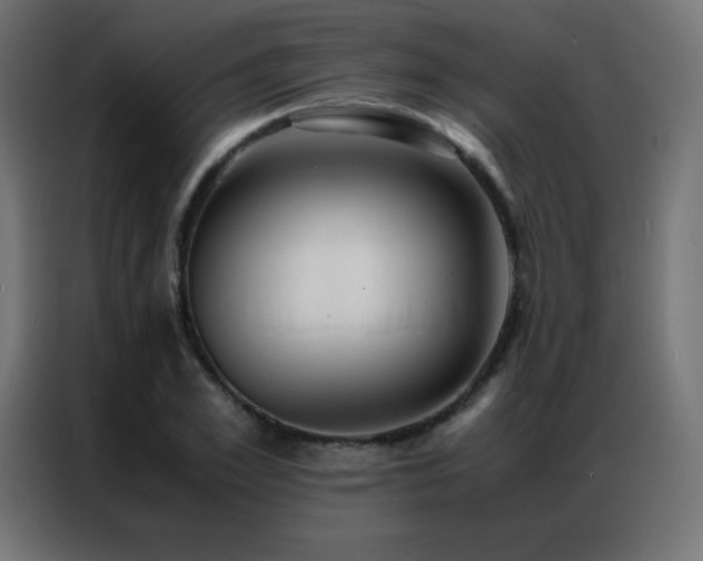 X0000086920981200704161359