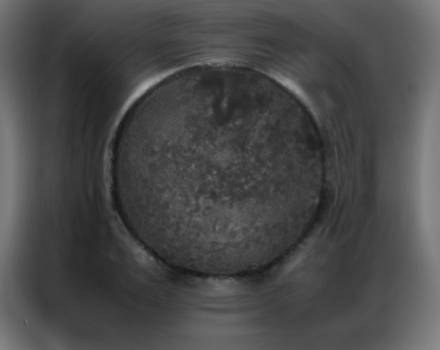 X0000086920983200704161359
