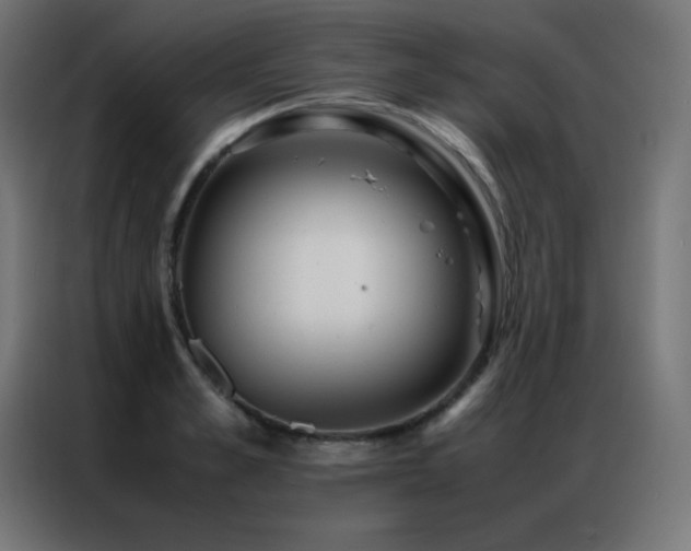 X0000086920989200704161359
