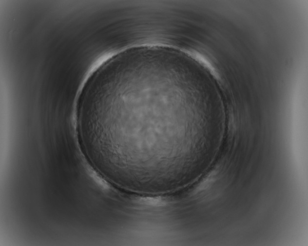 X0000086920990200704161359