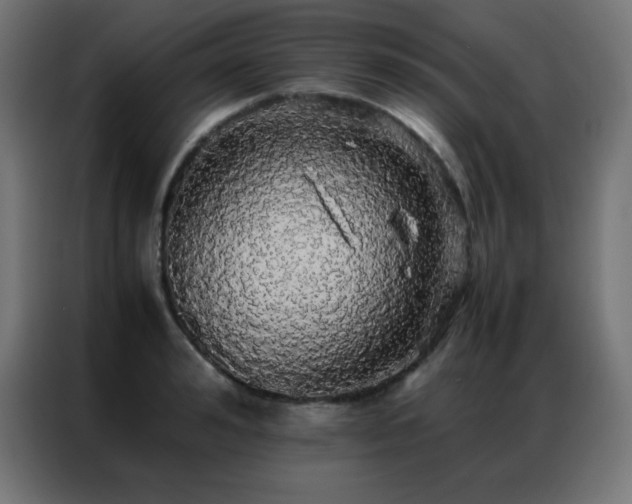 X0000086920992200704161359