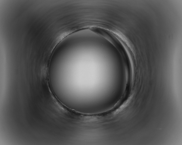 X0000086920993200704161359