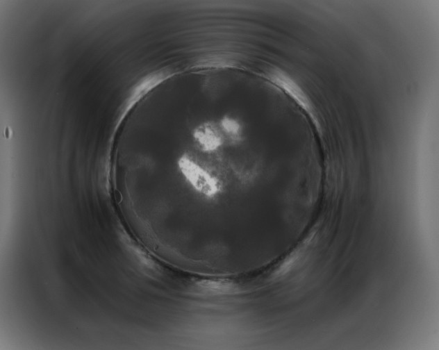 X0000086920994200704161359