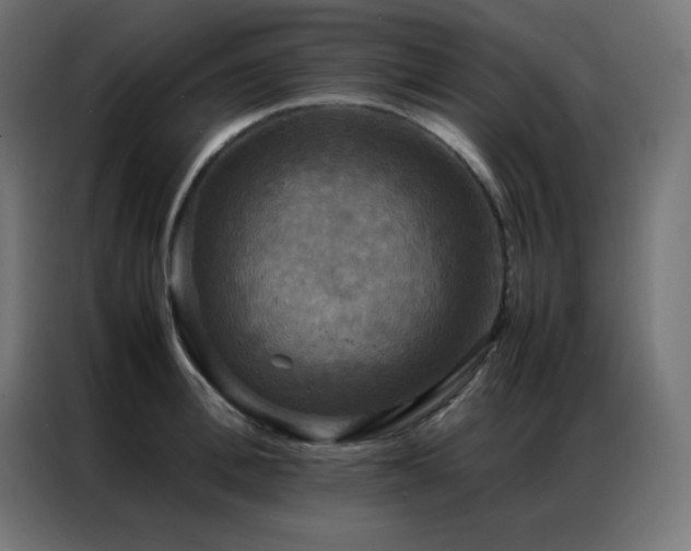 X0000086920996200704161359