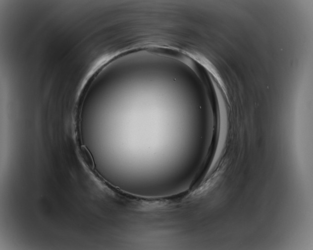 X0000086920997200704161359