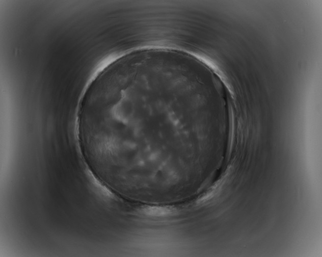 X0000086920998200704161359