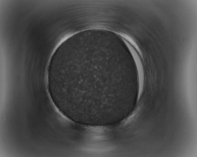 X0000086920999200704161359