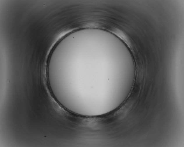 X0000086921000200704161359