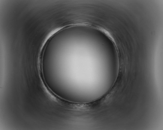 X0000086921003200704161359