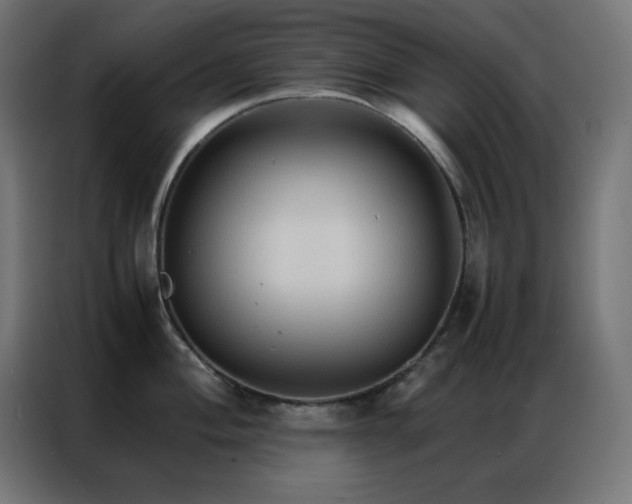 X0000086921004200704161359