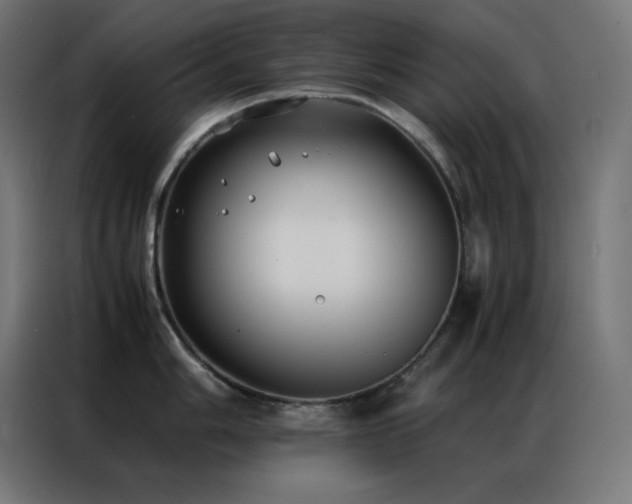 X0000086921006200704161359