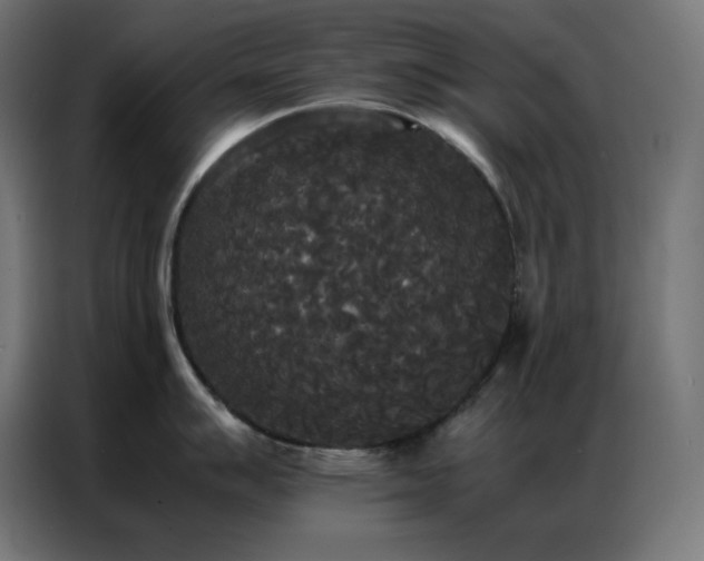 X0000086921007200704161359