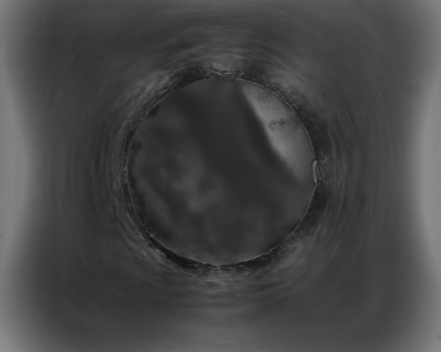 X0000086921009200704161358
