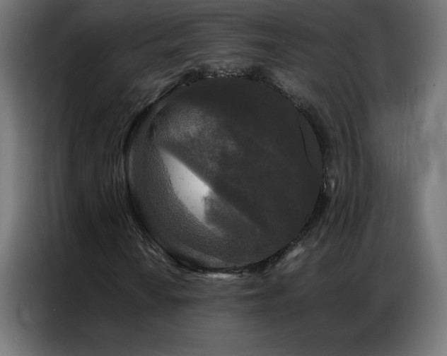 X0000086921010200704161358