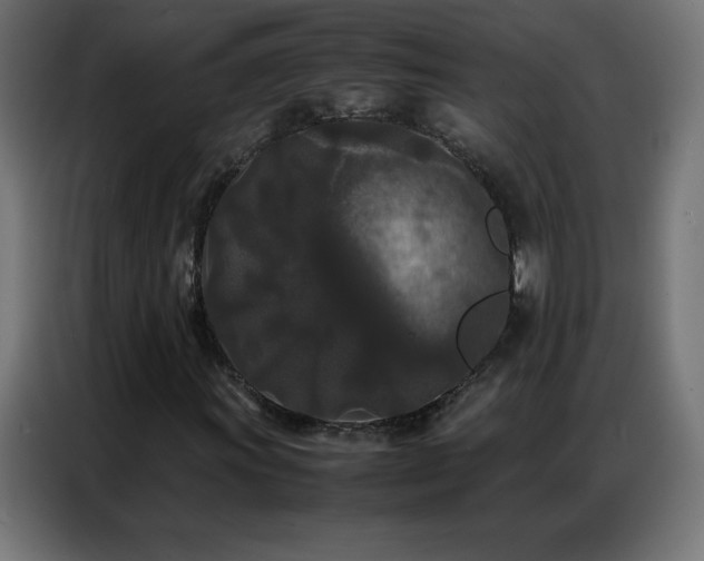X0000086921011200704161358