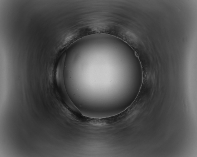 X0000086921012200704161358