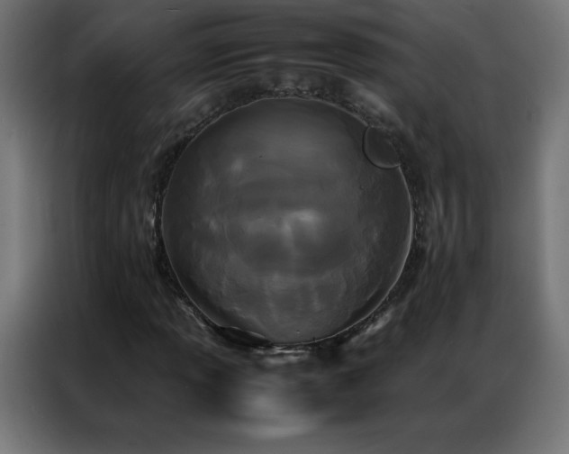 X0000086921013200704161358
