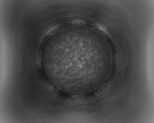 X0000086921015200704161358
