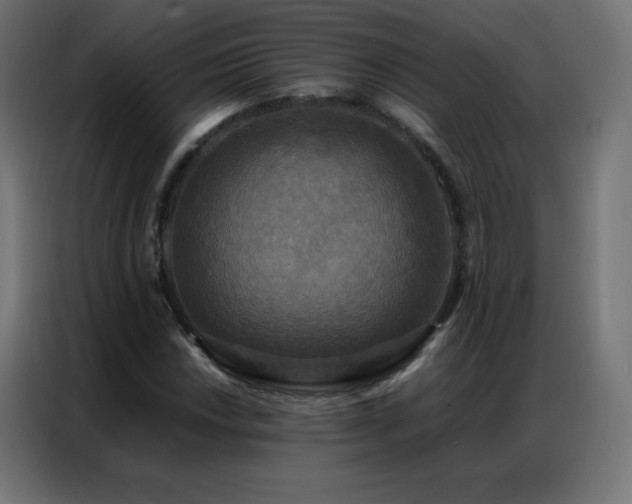 X0000086921018200704161358