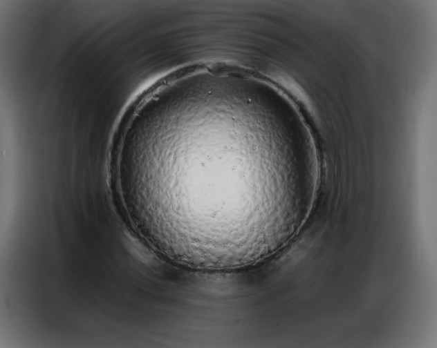 X0000086921020200704161358