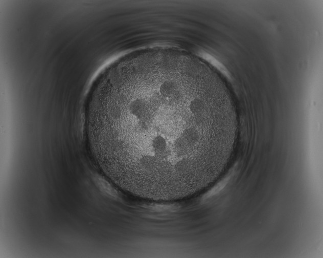 X0000086921021200704161358