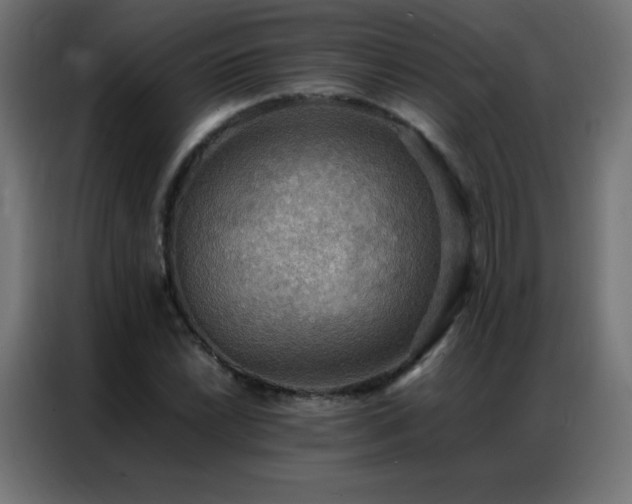 X0000086921022200704161358