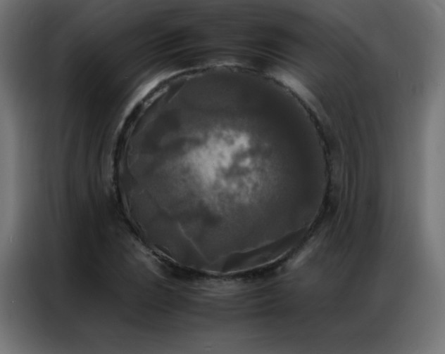 X0000086921023200704161358