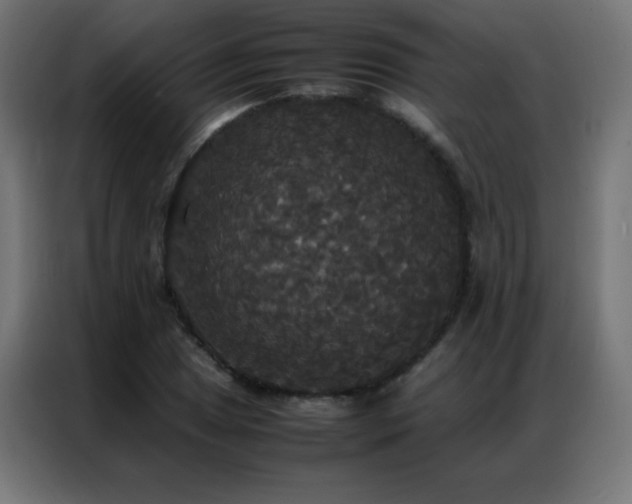 X0000086921025200704161358