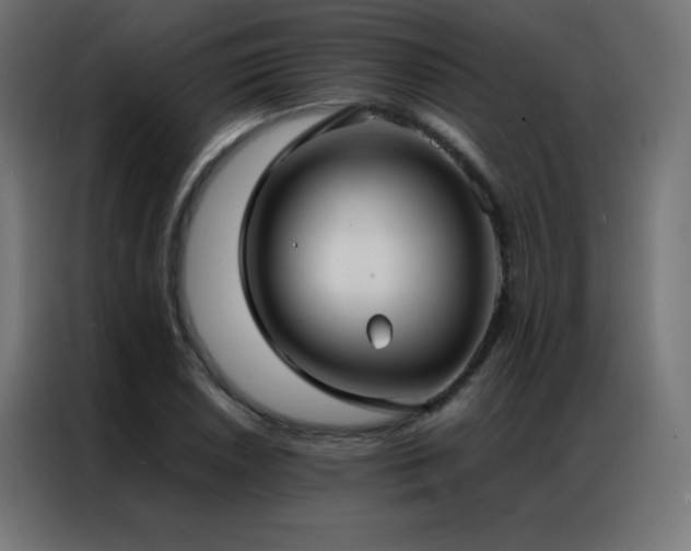 X0000086921026200704161358