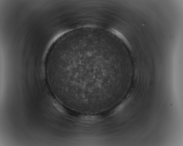 X0000086921027200704161358