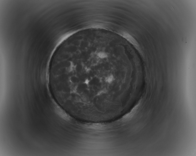 X0000086921028200704161358