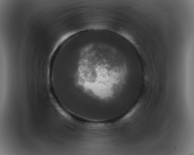 X0000086921030200704161358