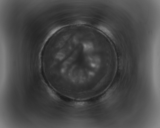 X0000086921031200704161358