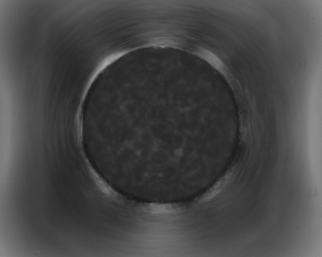 X0000086921032200704161358