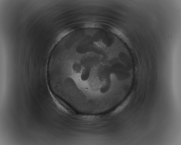 X0000086921033200704161358