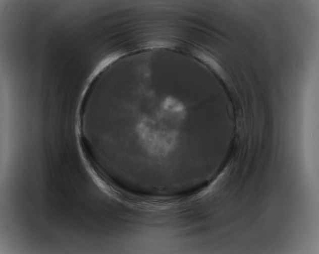 X0000086921034200704161358