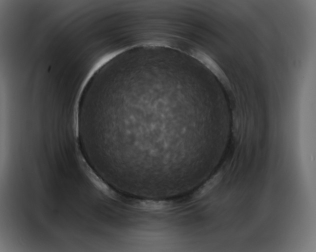 X0000086921036200704161358