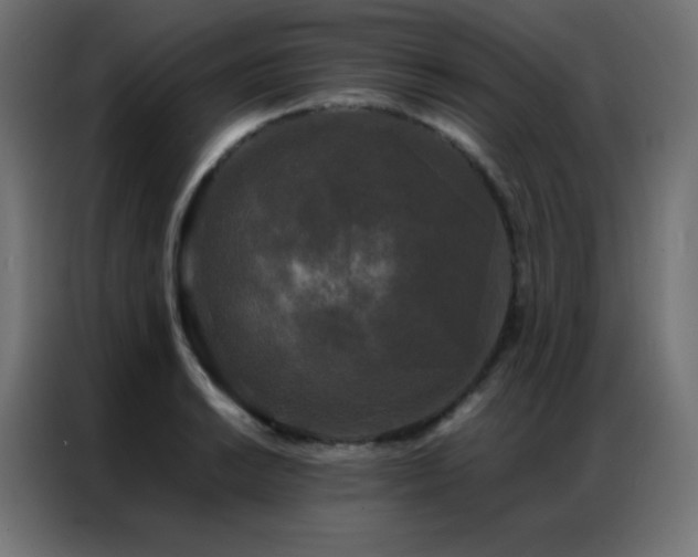 X0000086921038200704161358
